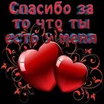 Pack 482