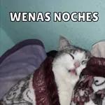 cuacua