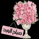 أنا لك وانت لي