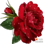 Stickers para compartir felicidad