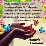 aynur