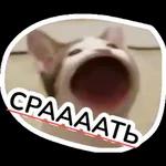 222