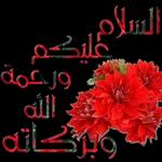 ان شاء ابنة
