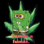 Kricoo