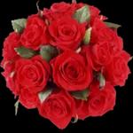 Gracias
Gracias
Gracias
