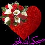 آمين اجمعين
