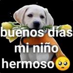 buenos días