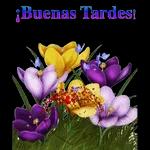 buenas tardes 