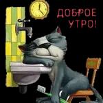 Доброе утро