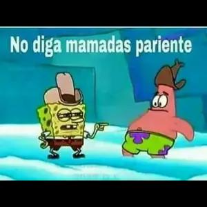 inllm2b