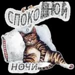 спокойной ночи