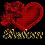 Shalom