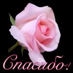 спасибо