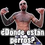 no te doy un vergaso porque estás lejos 
