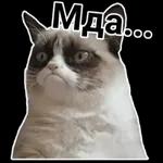 ппппппппппппппр