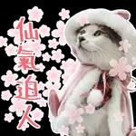不想面对
