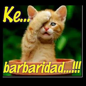 Kel barbaridad...!!!  - getsticker.com