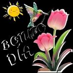 HERMOSO DÍA
