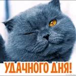 люблю