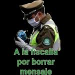 por qué borras mis mensajes?