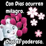 Mujer de Fe ♥️