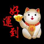 小动物们集合啦！！！