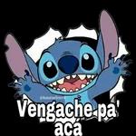 Stitch