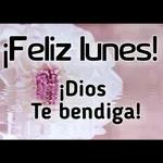 felices días de la semana