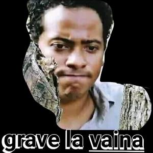 0n8avom