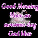 love you is my pleasure