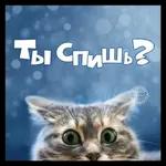 на всякий