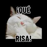 risas