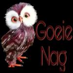 goeie nag dier