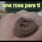 No se haga dar en la cara 