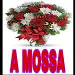 pour tous
