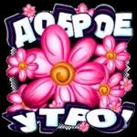 Доброе утро  ☀  ☀