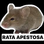 rata