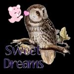 可爱表情繁体字表情包