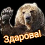 сон