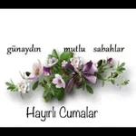 aynur