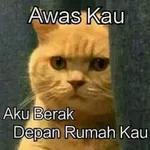 wasap