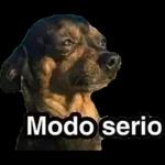 perrito