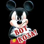 My Pack 41