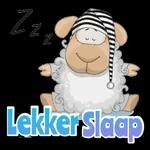 Lekker slaap