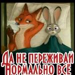 My Pack 41