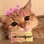 TE EXTRAÑO