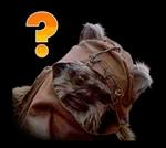 cat and dog 🐶 🐱 