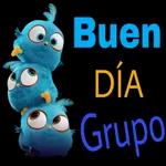 My Pack 22