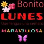 BUENOS DÍAS AL AMOR DE MI VIDA 