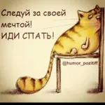 спокойной ночи